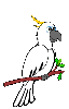 Imagen-animada-Loro-36.gif
