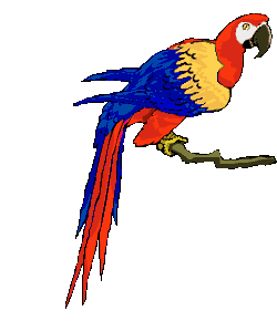 Imagen-animada-Loro-38.gif