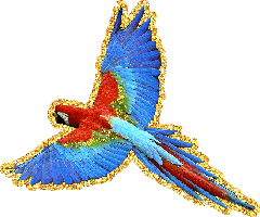 Imagen-animada-Loro-41.gif