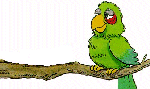 Imagen-animada-Loro-42.gif