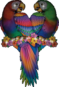 Imagen-animada-Loro-49.gif