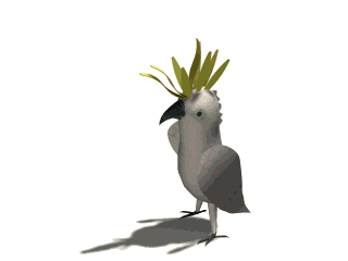 Imagen-animada-Loro-50.gif