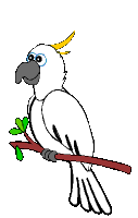 Imagen-animada-Loro-51.gif