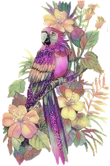 Imagen-animada-Loro-54.gif