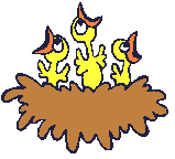 Imagen-animada-Nido-02.gif