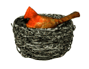 Imagen-animada-Nido-03.gif