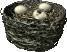 Imagen-animada-Nido-05.gif