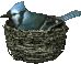 Imagen-animada-Nido-06.gif