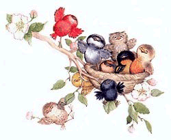 Imagen-animada-Nido-09.gif