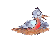Imagen-animada-Nido-10.gif