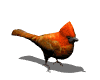 Imagen-animada-Pajaro-cardenal-03.gif