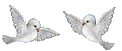 Imagen-animada-Paloma-01.gif