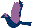 Imagen-animada-Paloma-02.gif