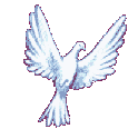 Imagen-animada-Paloma-06.gif