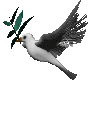 Imagen-animada-Paloma-13.gif