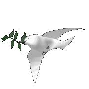 Imagen-animada-Paloma-19.gif