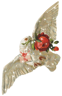 Imagen-animada-Paloma-24.gif