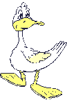 Imagen-animada-Pato-09.gif
