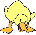 Imagen-animada-Pato-11.gif