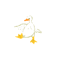 Imagen-animada-Pato-12.gif
