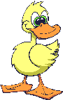 Imagen-animada-Pato-14.gif