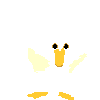 Imagen-animada-Pato-16.gif