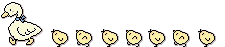 Imagen-animada-Pato-19.gif