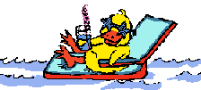 Imagen-animada-Pato-20.gif