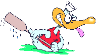 Imagen-animada-Pato-21.gif