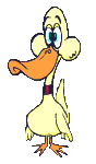 Imagen-animada-Pato-22.gif