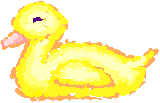 Imagen-animada-Pato-26.gif