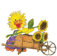 Imagen-animada-Pato-34.gif