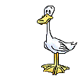 Imagen-animada-Pato-36.gif