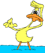 Imagen-animada-Pato-38.gif