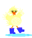 Imagen-animada-Pato-39.gif