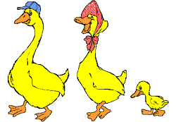 Imagen-animada-Pato-40.gif