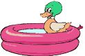 Imagen-animada-Pato-42.gif