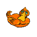Imagen-animada-Pato-43.gif