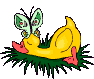 Imagen-animada-Pato-51.gif