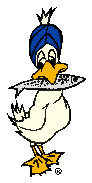 Imagen-animada-Pato-55.gif