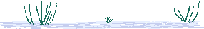Imagen-animada-Pato-66.gif