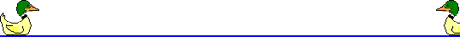 Imagen-animada-Pato-67.gif