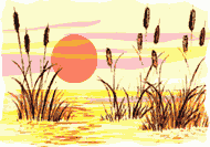 Imagen-animada-Pato-75.gif