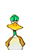 Imagen-animada-Pato-76.gif