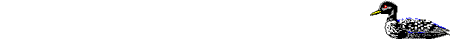 Imagen-animada-Pato-77.gif