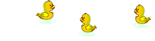 Imagen-animada-Pato-80.gif