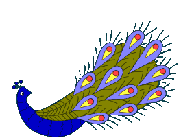 Imagen-animada-Pavo-real-07.gif