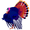 Avatar-Pavo-02.gif