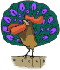 Imagen-animada-Pavo-08.gif