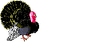 Imagen-animada-Pavo-11.gif